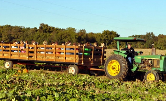 Just Piddlin Farms